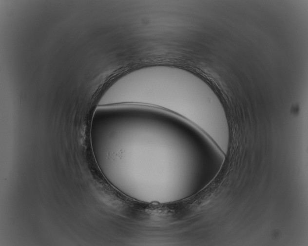 X0000091710693200708240957