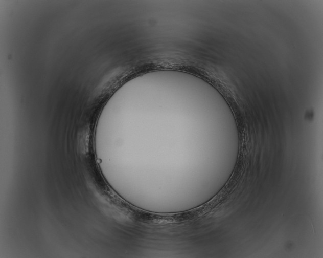 X0000091710694200708240957