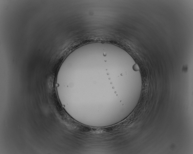 X0000091710695200708240957