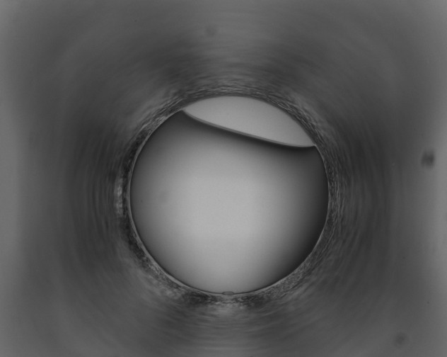 X0000091710696200708240957