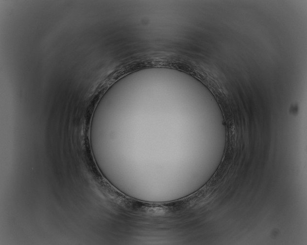 X0000091710698200708240957