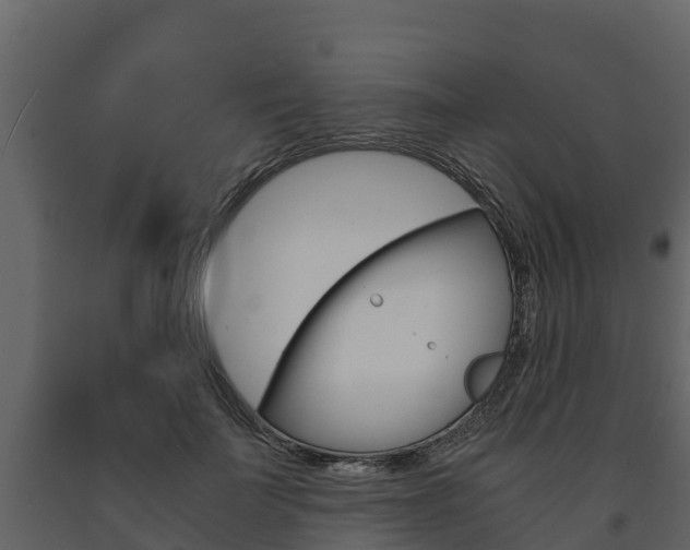 X0000091710699200708240957