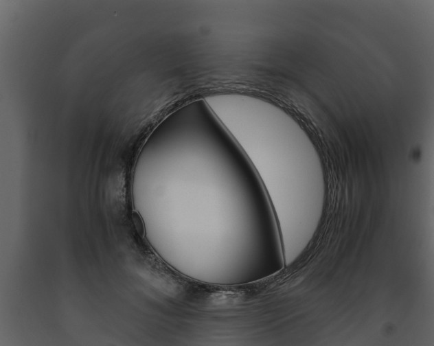 X0000091710700200708240957