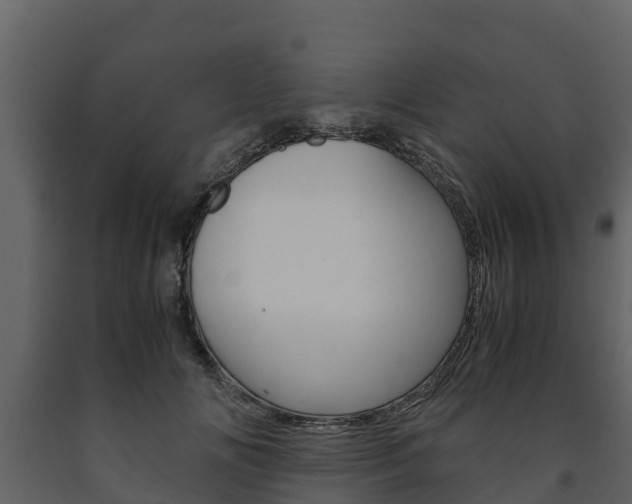 X0000091710702200708240957