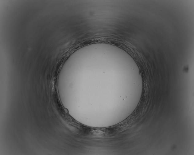 X0000091710703200708240957