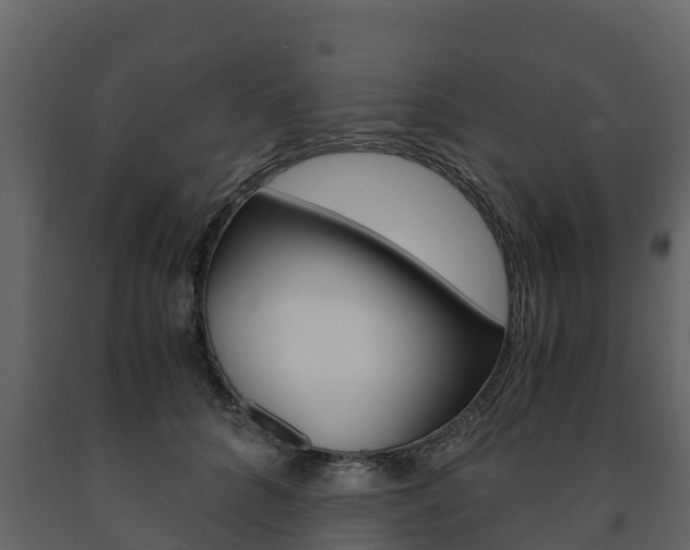 X0000091710704200708240957