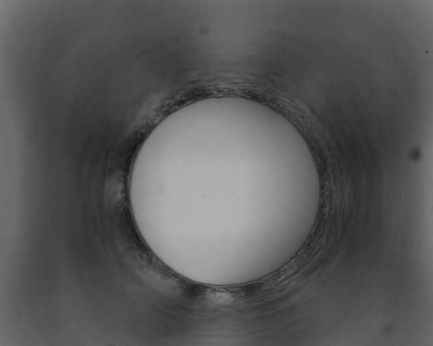 X0000091710706200708240957