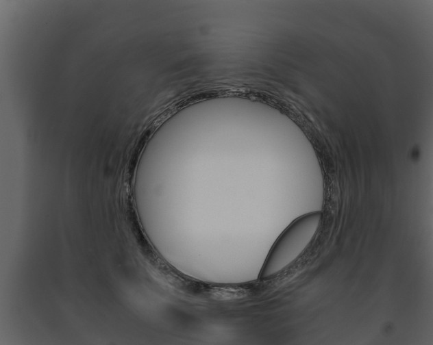 X0000091710707200708240957