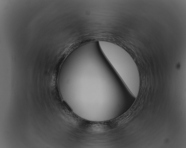 X0000091710708200708240957