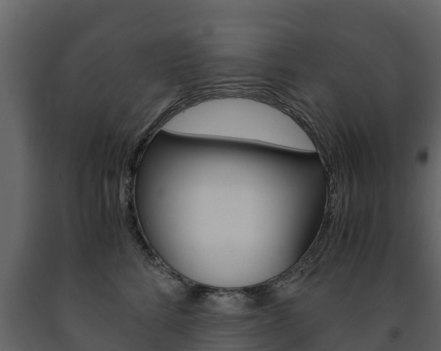 X0000091710712200708240957