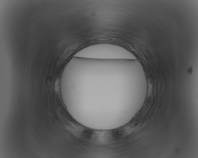 X0000091710713200708240957