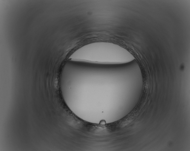 X0000091710715200708240957