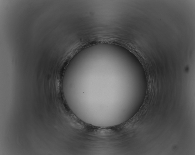 X0000091710716200708240956