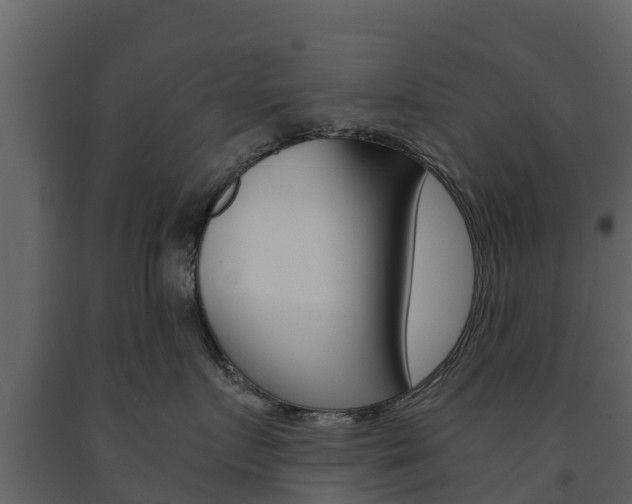X0000091710719200708240956