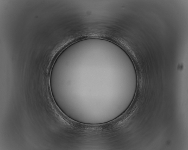 X0000091710721200708240956