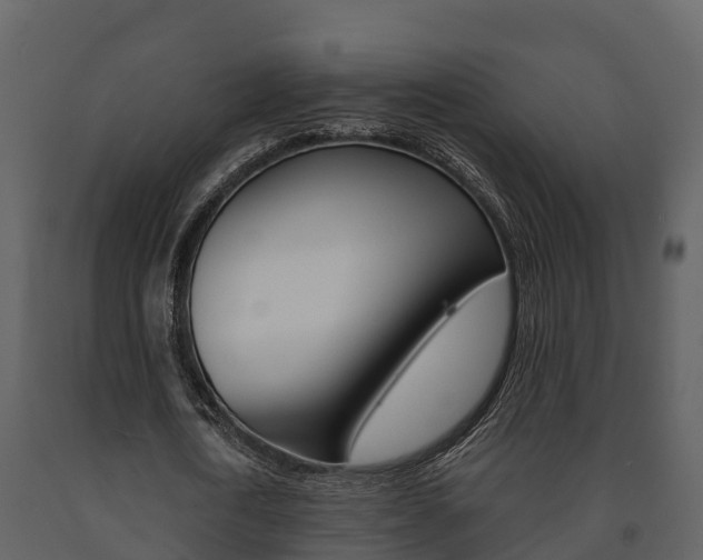 X0000091710722200708240956