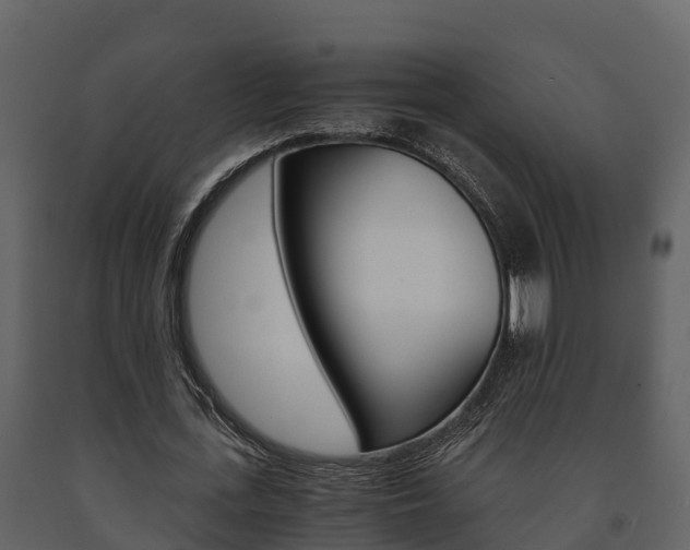 X0000091710723200708240956