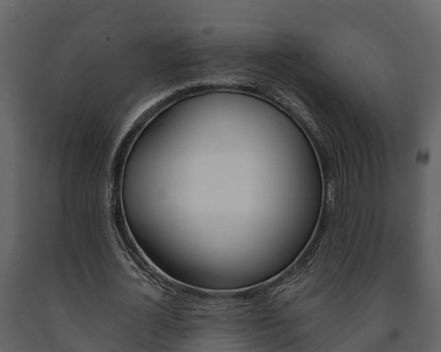 X0000091710724200708240956