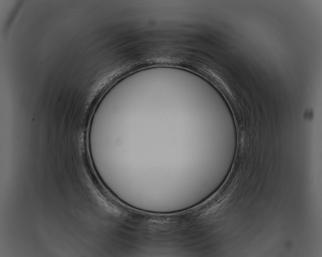 X0000091710725200708240956