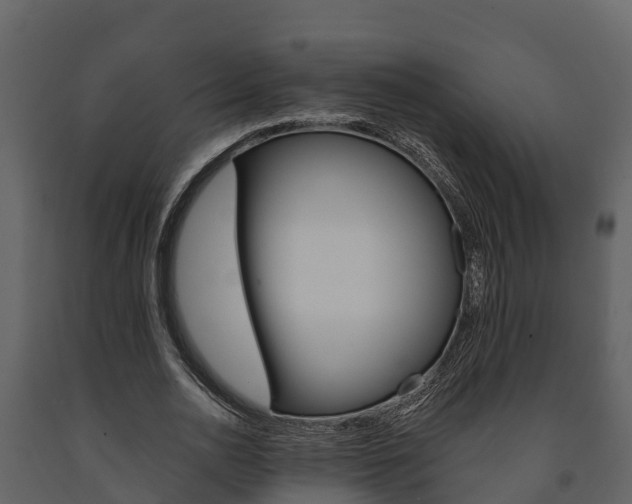 X0000091710726200708240956