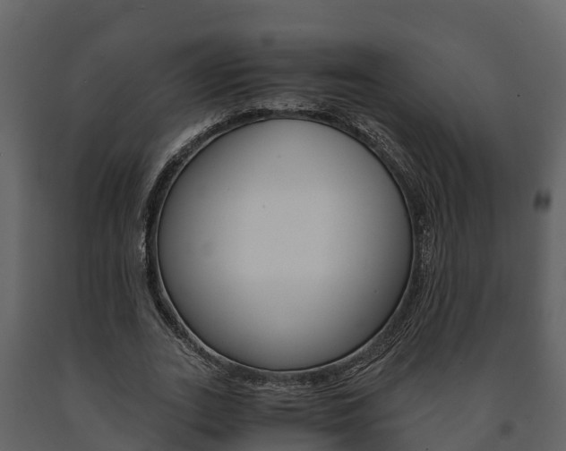X0000091710727200708240956