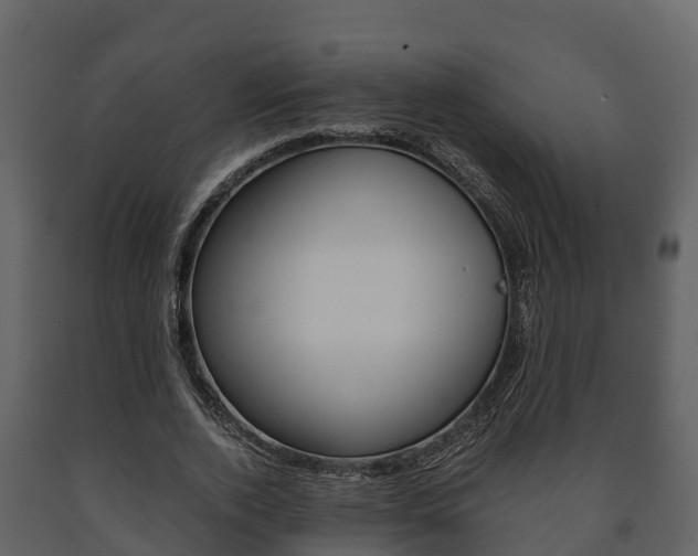 X0000091710728200708240956
