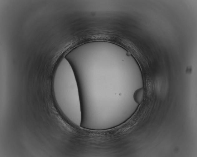 X0000091710729200708240956