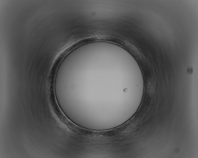 X0000091710730200708240956