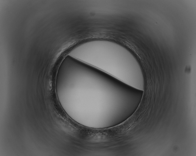 X0000091710731200708240956