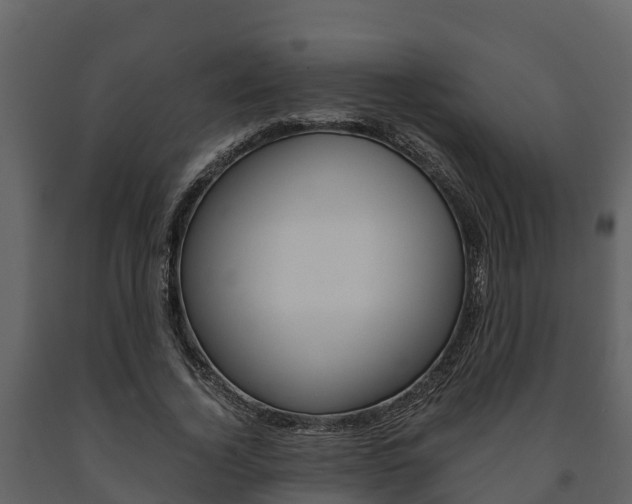 X0000091710732200708240956