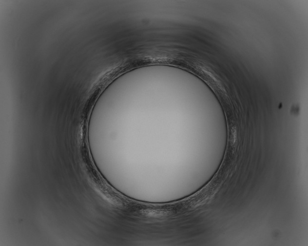 X0000091710733200708240956