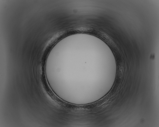 X0000091710734200708240956