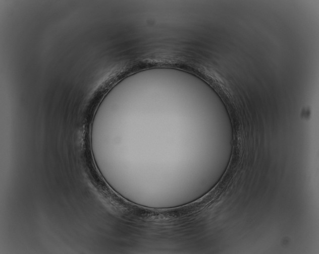 X0000091710735200708240956