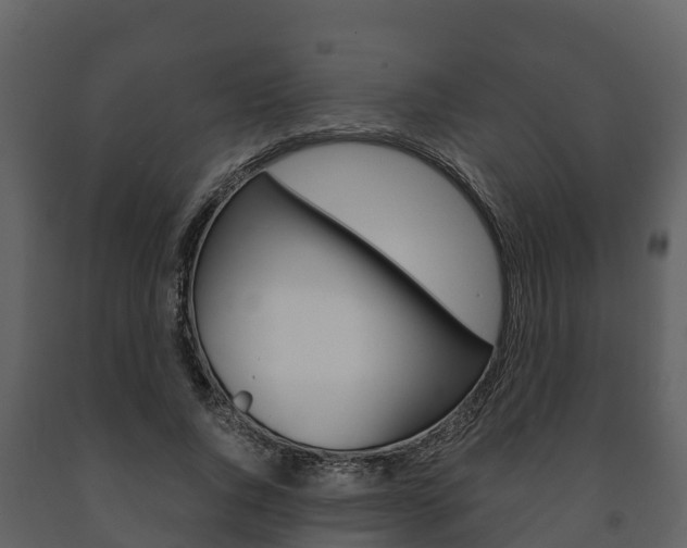 X0000091710736200708240956