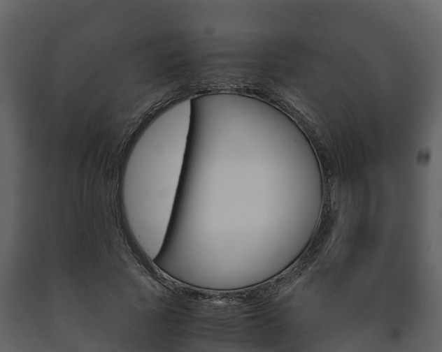 X0000091710737200708240956