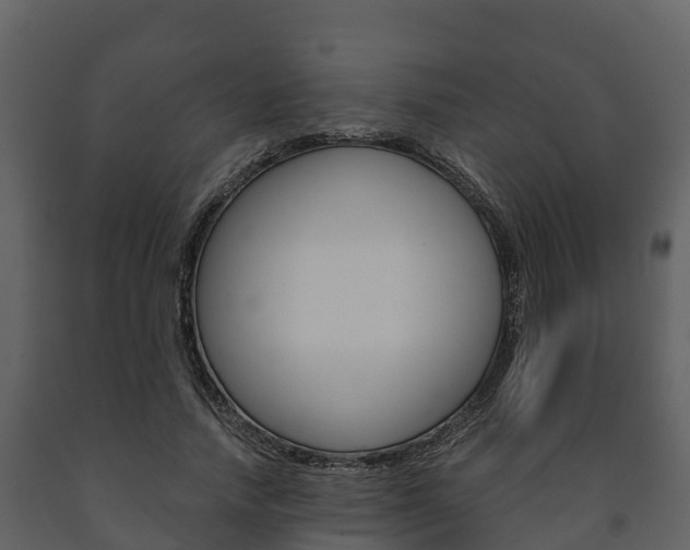 X0000091710738200708240956