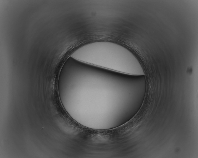 X0000091710739200708240956