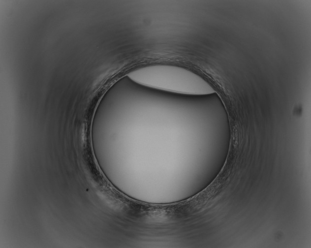X0000091710740200708240956