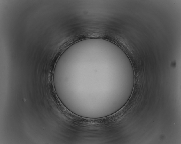 X0000091710741200708240956