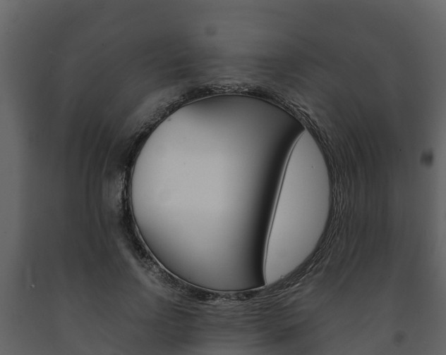 X0000091710742200708240956