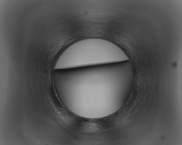 X0000091710743200708240956