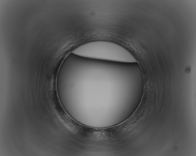 X0000091710744200708240956