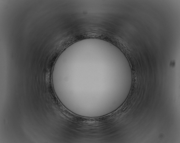 X0000091710745200708240956