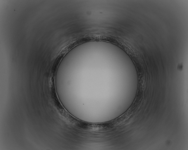 X0000091710746200708240956