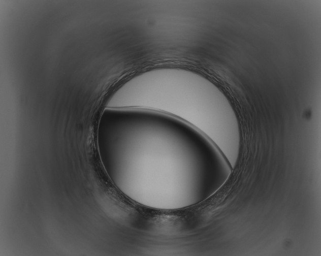 X0000091710748200708240956