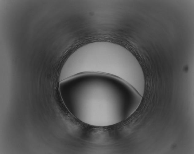 X0000091710750200708240956