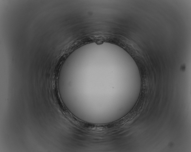 X0000091710751200708240956