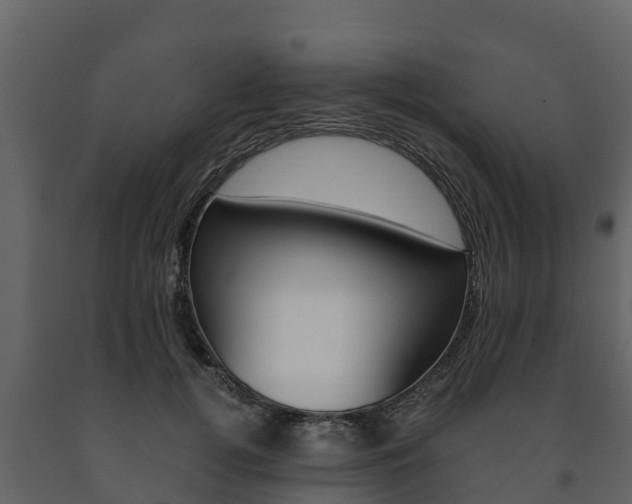 X0000091710752200708240956