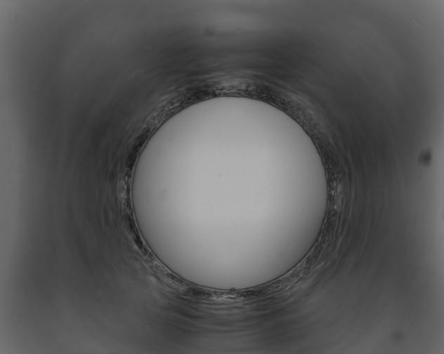 X0000091710753200708240956