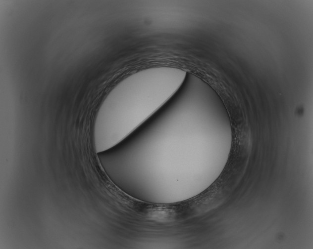 X0000091710754200708240956
